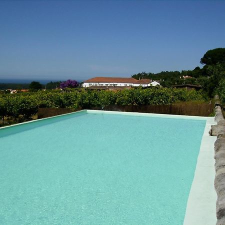 منزل الضيف فيانا دو كاستيلو  في Quinta Do Paco D'Anha المظهر الخارجي الصورة