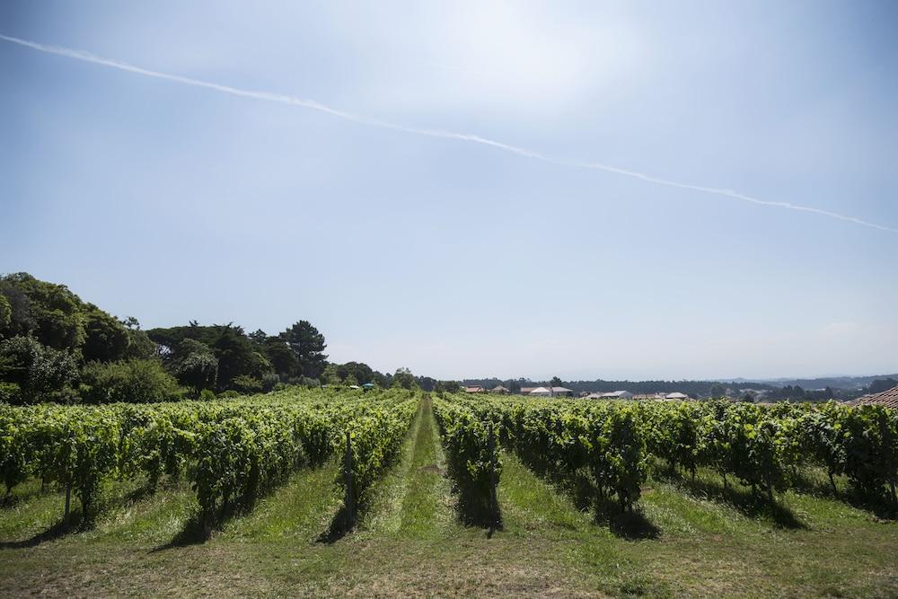 منزل الضيف فيانا دو كاستيلو  في Quinta Do Paco D'Anha المظهر الخارجي الصورة