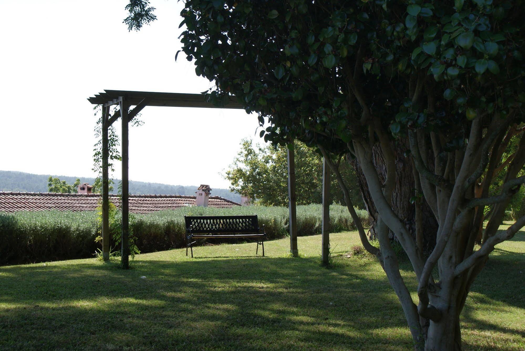 منزل الضيف فيانا دو كاستيلو  في Quinta Do Paco D'Anha المظهر الخارجي الصورة